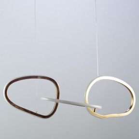 Светильник BLS(Unfolded Hanging RING) 18054